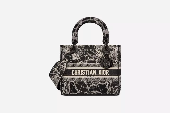 LADY D-LITE ミディアムバッグ-4