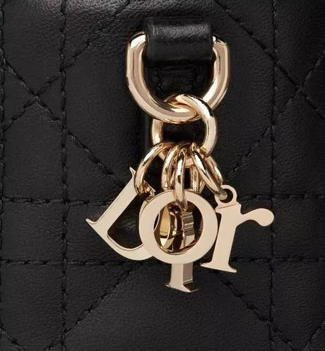 LADY DIOR マイクロ ヴァニティ-6